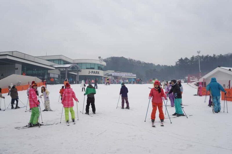 From Seoul: Jisan Forest Resort Ski Full-Day Tour or Shuttle - Who Will Love This Tour?