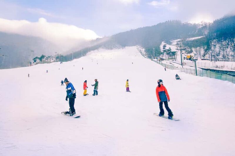 From Seoul: Jisan Forest Ski Resort One Day Tour - The Itinerary: What to Expect
