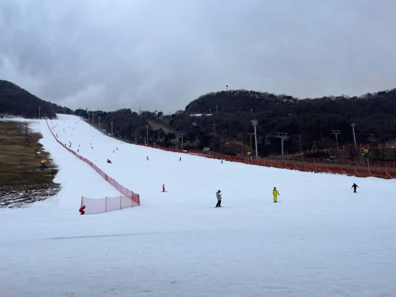 From Seoul: Jisan Forest Ski Resort One Day Tour - Practical Tips for a Smooth Day