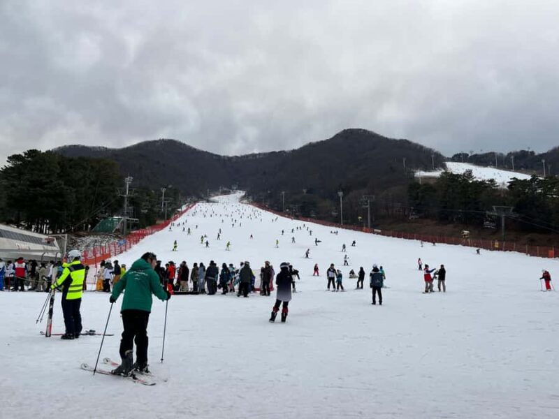 From Seoul: Jisan Forest Ski Resort One Day Tour - The Sum Up