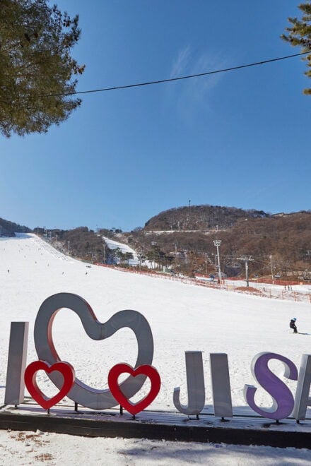 From Seoul: Jisan Ski Resort Serving Breakfast (No Shopping) - Detailed Itinerary and Schedule