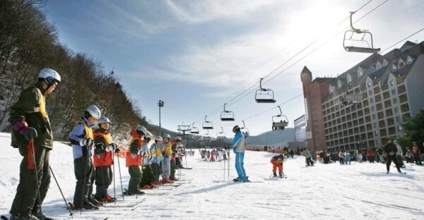 From Seoul: Jisan Ski Resort Serving Breakfast (No Shopping) - Post-Activity Suggestions