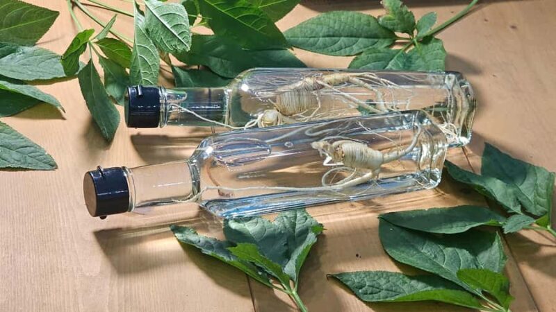 From Seoul: Make Your Own Chilli Paste & Ginseng Liquor Tour - Good To Know