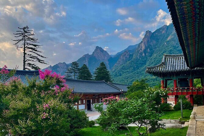 From Seoul: Mt. Seorak & Cherry Blossom & Foodie Tour - The Sum Up