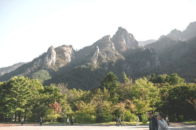 From Seoul: Mt. Seorak & Cherry Blossom & Foodie Tour - FAQs