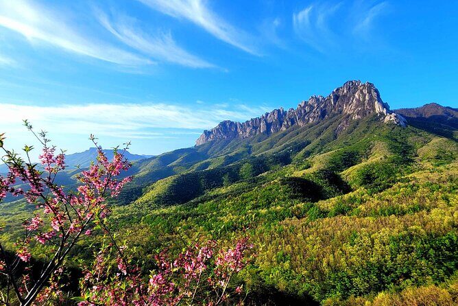 From Seoul: Mt. Seorak & Cherry Blossom & Foodie Tour - Good To Know