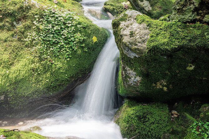 From Seoul: Mt. Seorak & Cherry Blossom & Foodie Tour - FAQ