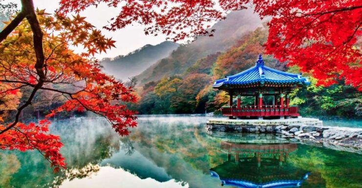 From Seoul : Naejangsan National Park Autumn Day Trip - Highlights of the Trip