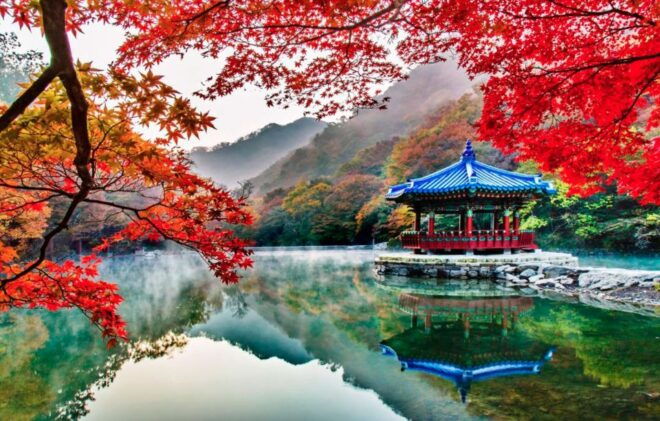 From Seoul : Naejangsan National Park Autumn Day Trip - Additional Information