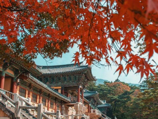 From Seoul : Naejangsan National Park Autumn Day Trip - The Sum Up