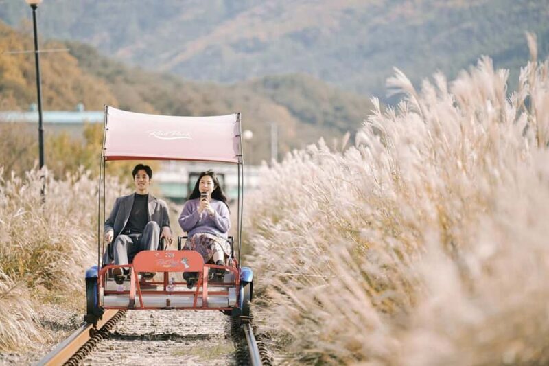From Seoul: Nami Island, Korean Garden & Rail Bike Day Trip - The Sum Up: Why Choose This Tour?