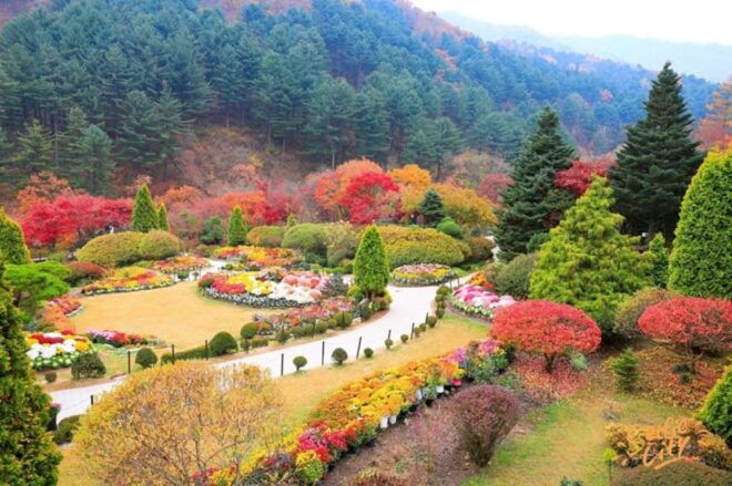 From Seoul: Nami Island, Korean Garden & Rail Bike Day Trip - Customer Reviews
