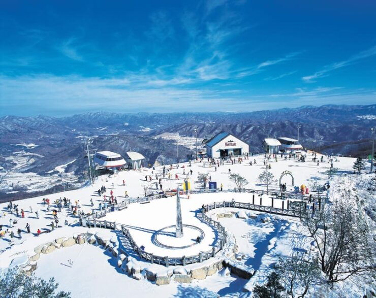 From Seoul: Phoenix Park Day Trip for Ski/SB and Sledding - Key Points