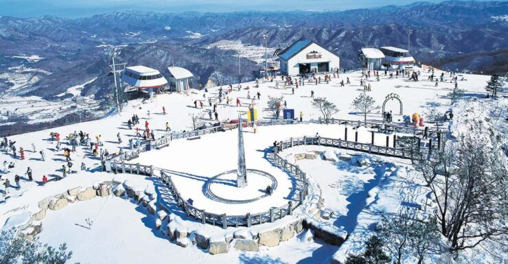 From Seoul: Phoenix Park Day Trip for Ski/SB and Sledding - Pricing and Reservation Details
