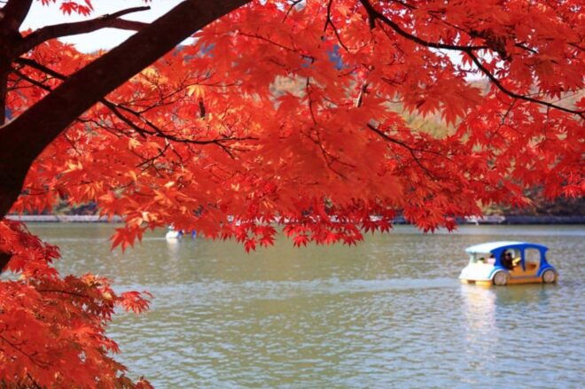 From Seoul: Pocheon, Sanjung Lake and Bidulginang Fall Trip - Scenic Highlights