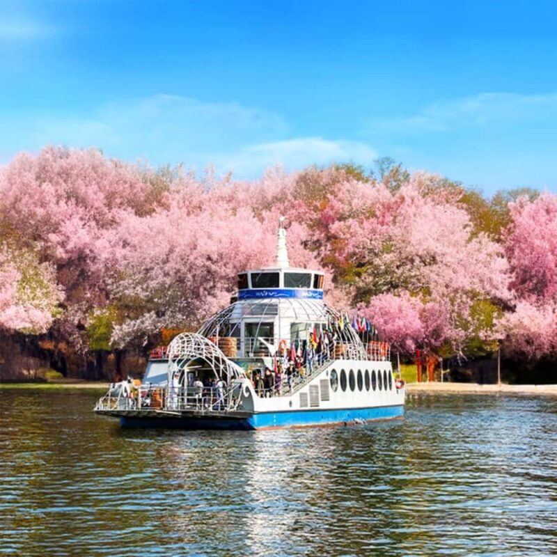 From Seoul: Private Custom Gapyeong Tour with English Driver - Why Choose This Private Gapyeong Tour?