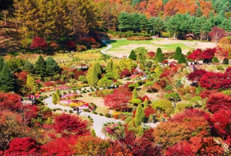 From Seoul: Private Custom Gapyeong Tour with English Driver - Transportation and Logistics