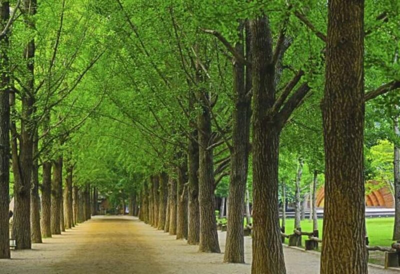 From Seoul: Private Custom Gapyeong Tour with English Driver - Who Is This Tour Best For?