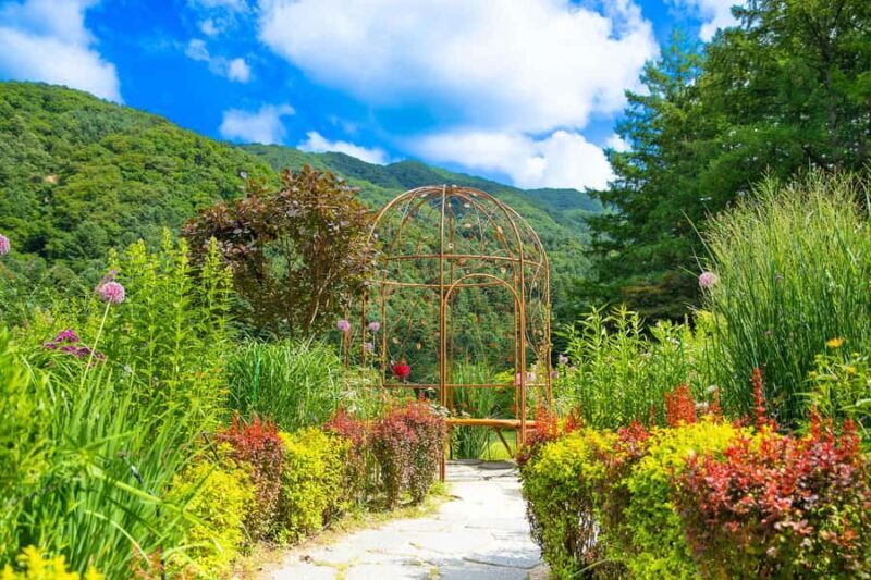 From Seoul: Private Custom Gapyeong Tour with English Driver - Final Thoughts