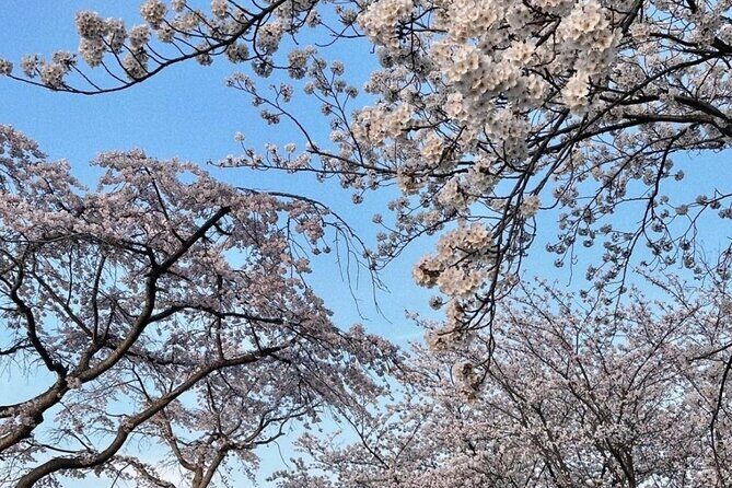 From Seoul: Private Day Tour to Gangneung - Frequently Asked Questions