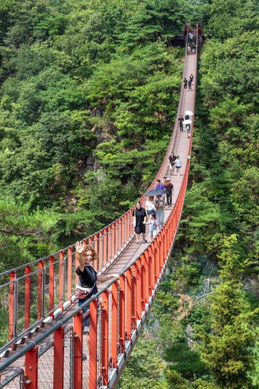 From Seoul: Private DMZ Tour with Optional Suspension Bridge - An Overview of the Private DMZ Tour