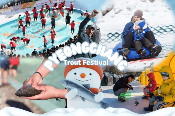 From Seoul: Pyeongchang Trout Festival - Key Points