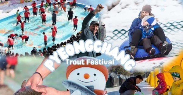 From Seoul: Pyeongchang Trout Festival - Inclusions for Participants