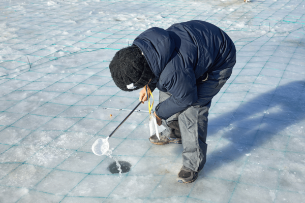 From Seoul: Pyeongchang Trout Festival - Important Visitor Information