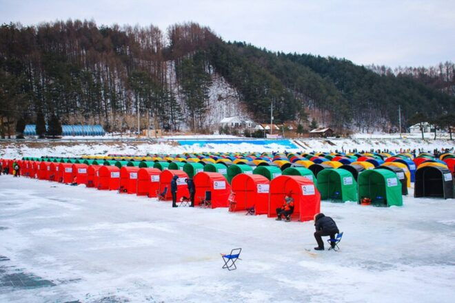 From Seoul: Pyeongchang Trout Festival - Hassle-Free Return to Downtown Seoul
