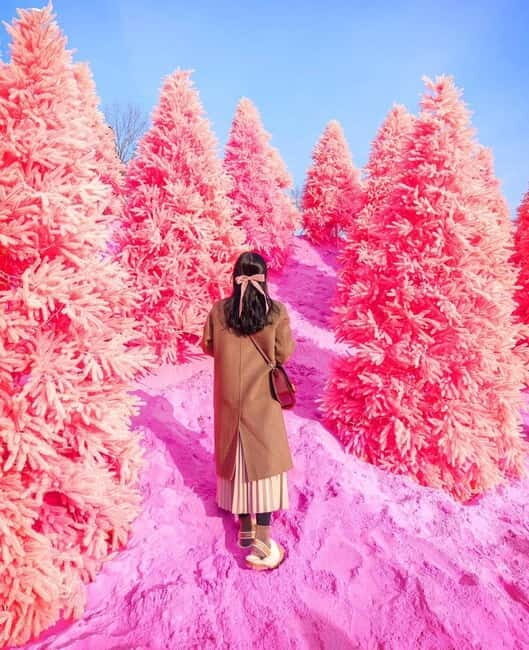 From Seoul: Romantic Winter Wonderland Tour - Good To Know