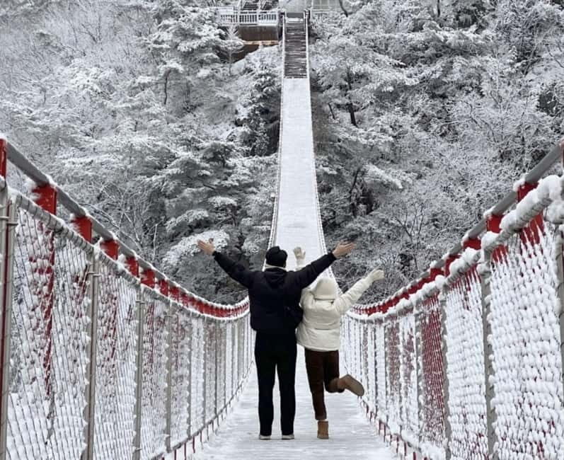 From Seoul: Romantic Winter Wonderland Tour - An In-Depth Look at the Romantic Winter Wonderland Tour