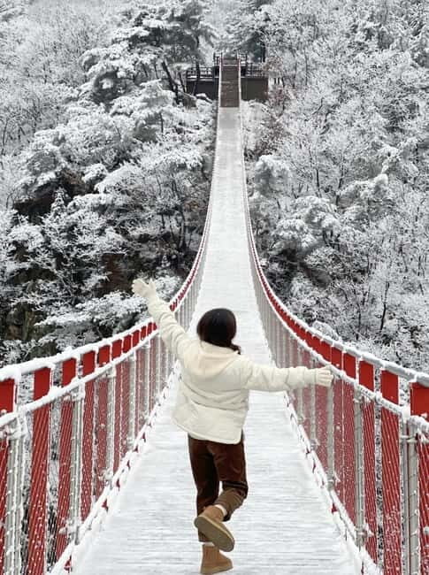 From Seoul: Romantic Winter Wonderland Tour - An In-Depth Look at the Tour Itinerary