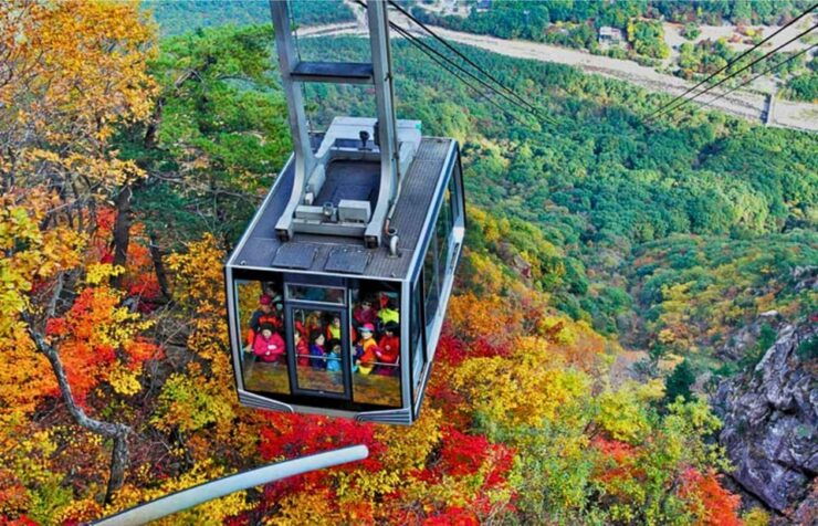 From Seoul: Seoraksan Maple Mountain With Cable Car - Key Points