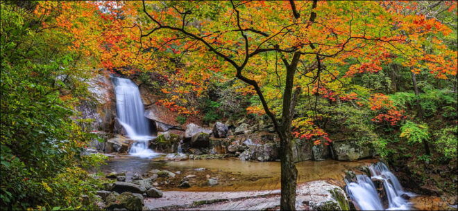 From Seoul: Seoraksan Maple Mountain With Cable Car - Detailed Itinerary