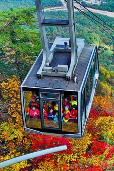 From Seoul: Seoraksan Maple Mountain With Cable Car - Inclusions for Tour Participants