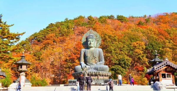 From Seoul: Seoraksan Maple Mountain With Cable Car - Essential Information for Travelers