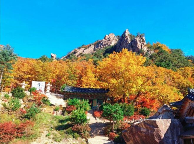 From Seoul: Seoraksan Maple Mountain With Cable Car - Gwaneumjeon: A Serene Spiritual Experience