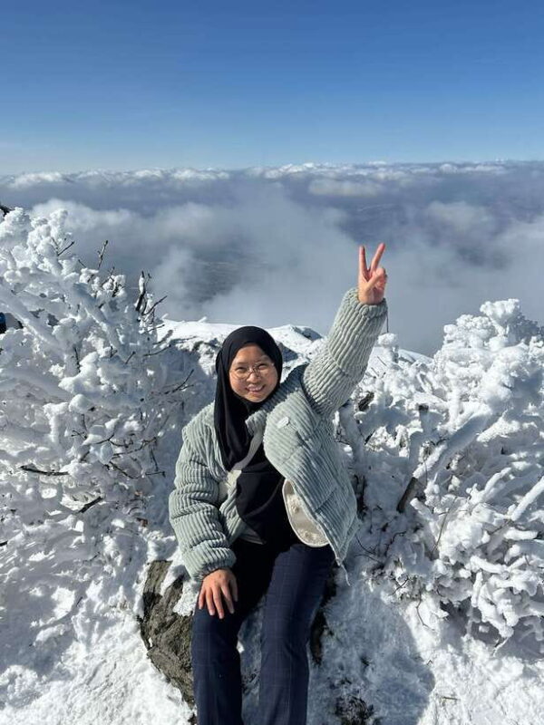 From Seoul: Snow-Capped Beauty of Deogyusan National Park - Introduction