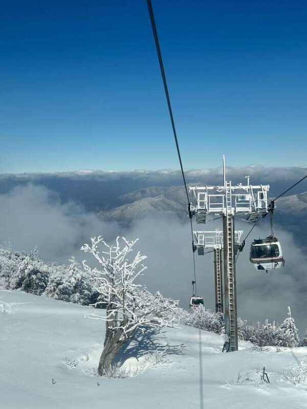 From Seoul: Snow-Capped Beauty of Deogyusan National Park - Practical Tips for Travelers