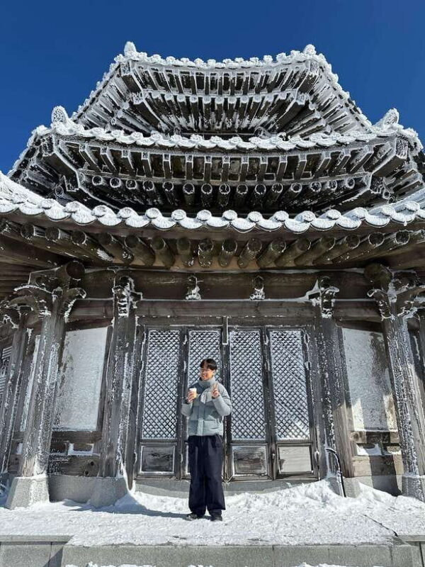 From Seoul: Snow-Capped Beauty of Deogyusan National Park - Good To Know