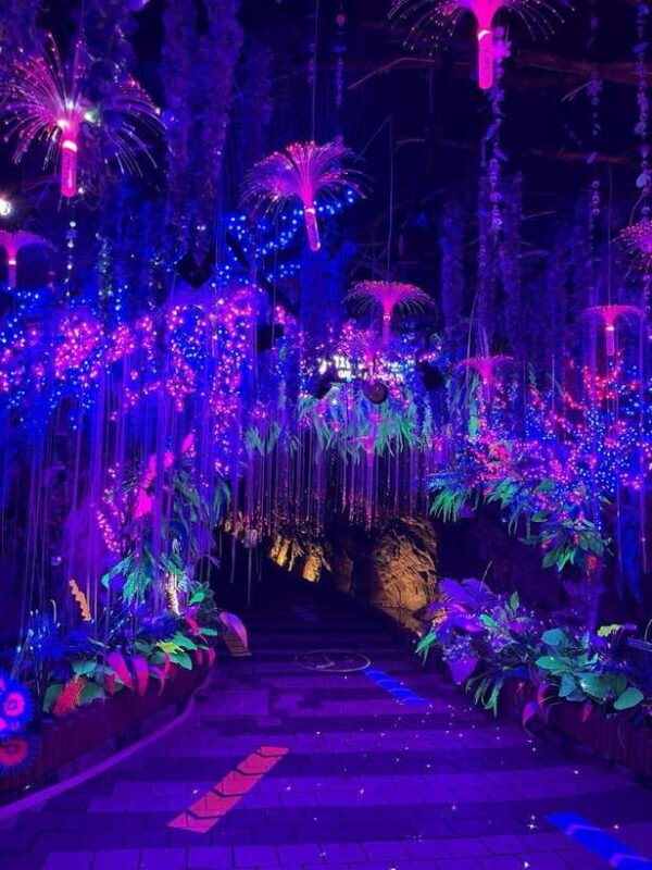 From Seoul: Starfield Library, Hwaseong , Gwangmyeong Cave - Final Thoughts