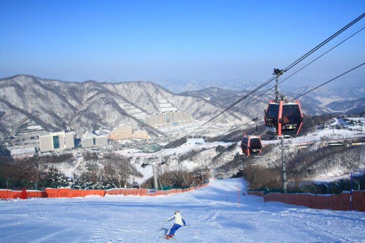From Seoul: Vivaldi Park Ski World With Nami Island Day Tour - Activity Details