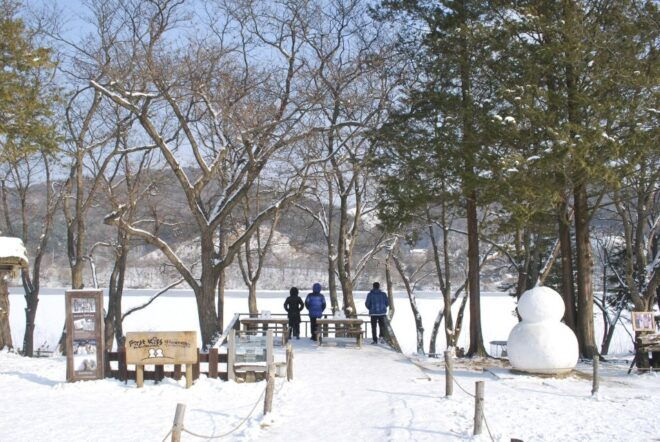 From Seoul: Vivaldi Park Ski World With Nami Island Day Tour - Highlights