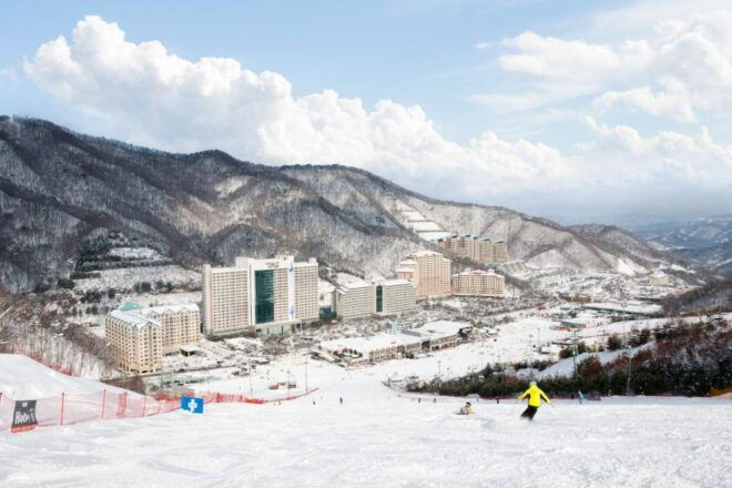 From Seoul: Vivaldi Park Ski World With Nami Island Day Tour - Important Information