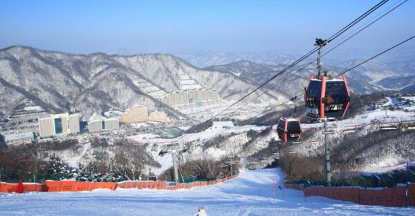 From Seoul: Vivaldi Park Ski World With Nami Island Day Tour - Common Questions