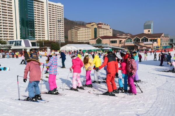 From Seoul: Vivaldi Park Ski World With Nami Island Day Tour - The Sum Up