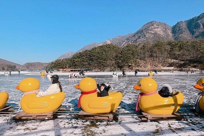 From Seoul : Winter One Day Tour in Pocheon - Who Is This Tour Best For?