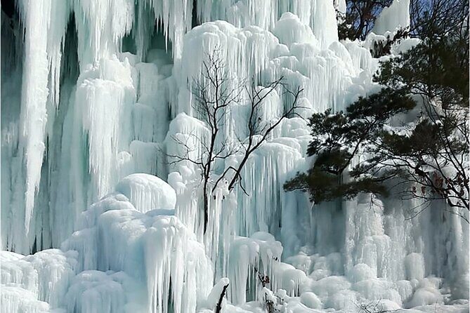 From Seoul : Winter One Day Tour in Pocheon - FAQ