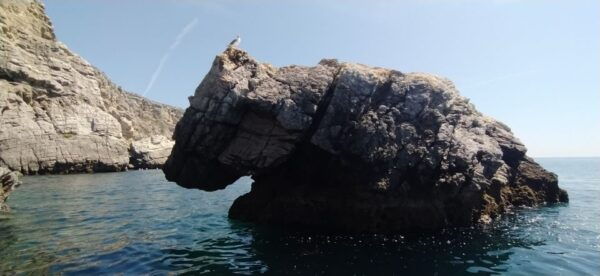 From Sesimbra: Ribeira Do Cavalo Beach and Caves Boat Tour - Important Information