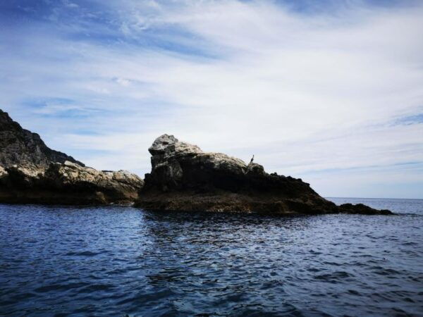 From Sesimbra: Ribeira Do Cavalo Beach and Caves Boat Tour - Frequently Asked Questions